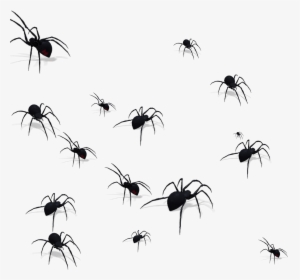 Transparent Mosquito Silhouette Png - Lots Of Spiders Png, Png Download, Transparent PNG