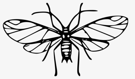 Cartoon Mosquito Clipart Wikiclipart - Clip Art Image Mosquito Black And White, HD Png Download, Transparent PNG