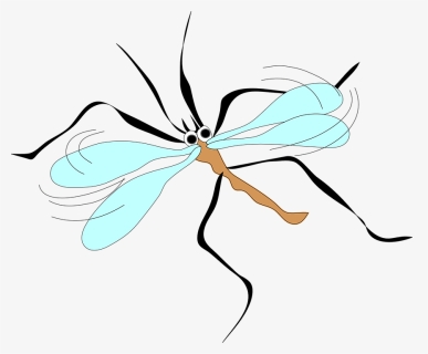 Free Vector Moschito Stecchito Clip Art - Mosquito Clip Art, HD Png Download, Transparent PNG