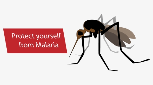 Malaria Mosquito Cartoon Png - Malaria Clipart Png, Transparent Png, Transparent PNG
