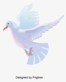 Transparent Paloma Clipart - White Dove Vector Png, Png Download, Transparent PNG