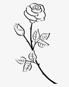 Kisscc Silhouette Drawing Rose Black And White Flower - White Rose Silhouette Png, Transparent Png, Transparent PNG