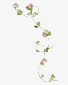 #mq #pink #flowers #vines #leaf - Watercolor Flower Vine Png, Transparent Png, Transparent PNG