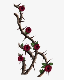 Thorn Vine Png , Transparent Cartoons - Roses With Thorns Png, Png Download, Transparent PNG