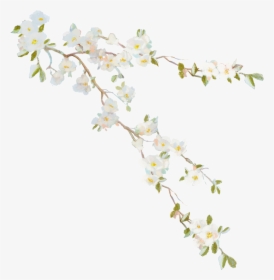 Flower Vine Desktop Wallpaper Clip Art - Flower Vine, HD Png Download, Transparent PNG