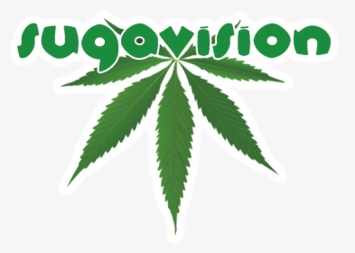 Beautiful Cannabis Props For Film And Tv Since - Illustration, HD Png Download, Transparent PNG
