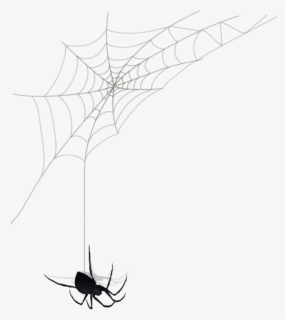 Black Widow - Spider Web, HD Png Download, Transparent PNG