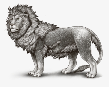 Leopon, HD Png Download, Transparent PNG