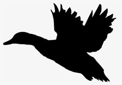 Landing Silhouette At Getdrawings - Black And White Flying Duck, HD Png Download, Transparent PNG