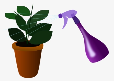 Houseplant, Plant, Watering, House Plant, Caring, Spray - Plants, HD Png Download, Transparent PNG