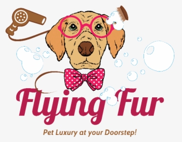 Flying-fur - Baby In Flight Cartoon, HD Png Download, Transparent PNG
