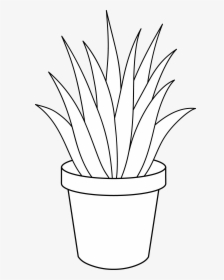 Black And White Plants - House Plants Clipart Black And White, HD Png Download, Transparent PNG