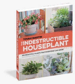 Cover - Plant Ugly Indestructible, HD Png Download, Transparent PNG