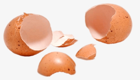 Two Cracked Eggshells - Eggshells Png, Transparent Png, Transparent PNG