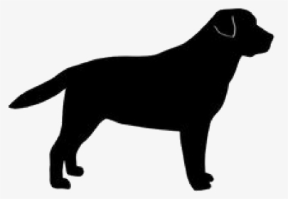 Clip Art Labrador Retriever Silhouette - Black Dog Logo Png, Transparent Png, Transparent PNG