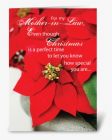 Mother In Law Christmas Poinsettia Greeting Card - Greeting Cards For Parents, HD Png Download, Transparent PNG