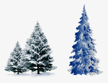 Transparent Winter Pine Tree Clipart - Blue Christmas Tree Vector Png, Png Download, Transparent PNG