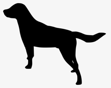 Labrador Silhouette Transparent, HD Png Download, Transparent PNG