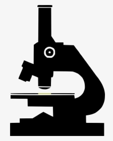 Microscope Microscopy Science Free Picture - Microscope Black And White, HD Png Download, Transparent PNG