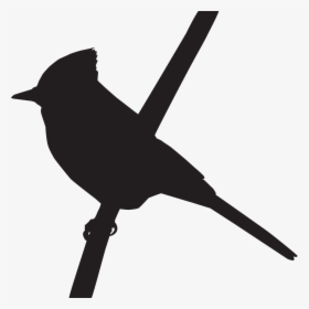 Silhouette Of A Blue Jay, HD Png Download, Transparent PNG