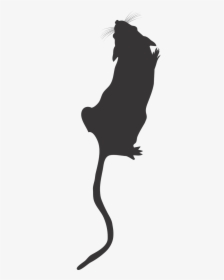 Lab Mouse Top View Mouse Silhouette Lab Mouse Icon - Rat Silhouette Top View, HD Png Download, Transparent PNG