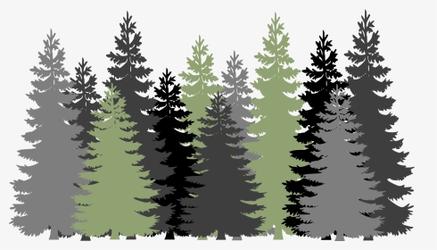 Forest, Trees, Evergreen, Conifers, Pines, Gray, Green - Pine Tree Forest Svg, HD Png Download, Transparent PNG