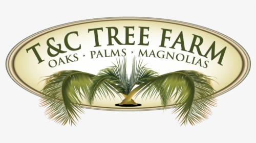 T&c Tree Farm, Inc - Label, HD Png Download, Transparent PNG
