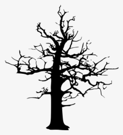 Forest Dieback, Forest Decline, Dead, Tree, Winter - Dead Tree Vector, HD Png Download, Transparent PNG