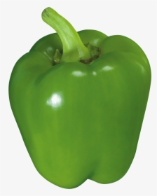 Green Bell Pepper - Bell Pepper, HD Png Download, Transparent PNG