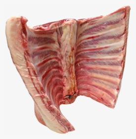 Lamb And Mutton - Ribs Raw Transparent, HD Png Download, Transparent PNG