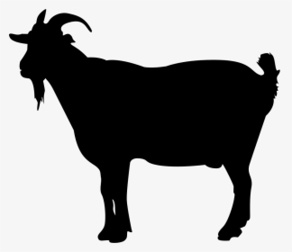 Mutton - Silhouette Of A Bulldog, HD Png Download, Transparent PNG