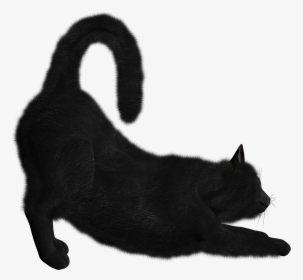 Cat Png - Transparent Background Black Cat, Png Download, Transparent PNG