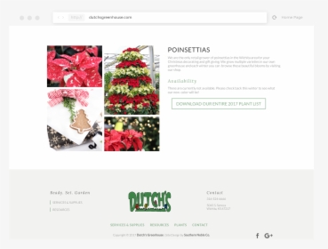 Poinsettia Christmas Tree, HD Png Download, Transparent PNG