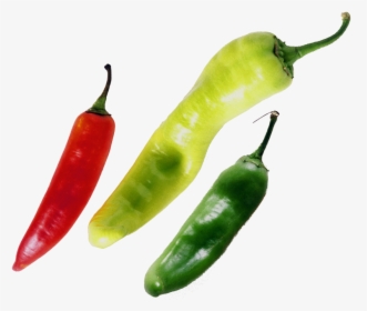 Chilli - Chilli Pepper Red Green Yellow Png, Transparent Png, Transparent PNG