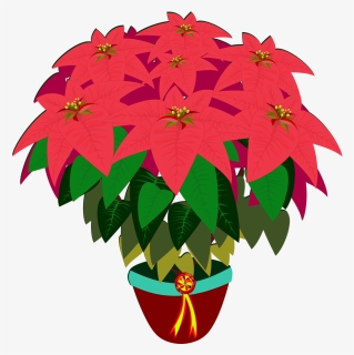 Flower Drawing Poinsettia Digital Image Cc0, HD Png Download, Transparent PNG