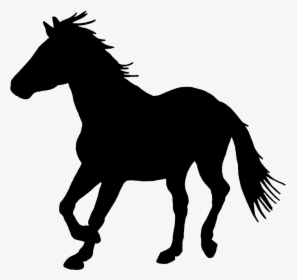 Black Silhouette Of Horse - Png Horse, Transparent Png, Transparent PNG
