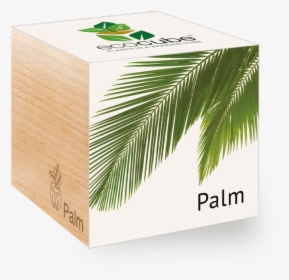 Palm Packing, HD Png Download, Transparent PNG