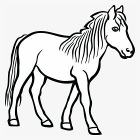 Black And White Png Of Horse - Clipart Black And White Horse, Transparent  Png , Transparent Png Image - PNGitem
