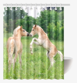 Haflinger Horses Cute Funny Pony Foals Playing Horse - Foal, HD Png Download, Transparent PNG