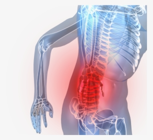 Transparent Spinal Cord Png - Low Back Pain Png, Png Download, Transparent PNG