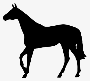 Horse Black Silhouette - Horse Silhouette No Background, HD Png Download, Transparent PNG