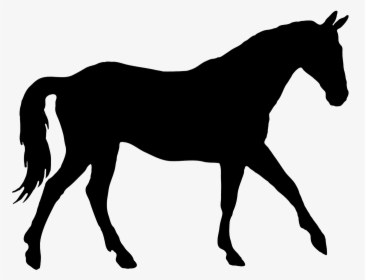 Silhouette Of Elegant Horse - Trotting Horse Silhouette, HD Png Download, Transparent PNG