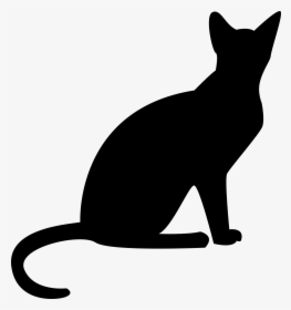 Cute Cat Free Stock Vector - Cat, HD Png Download, Transparent PNG
