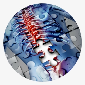 Sports Chiropractic Utah Low Back Pain - Rheumatology Design, HD Png Download, Transparent PNG