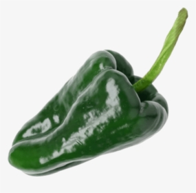 Transparent Green Pepper Png - Chile Poblano Png, Png Download, Transparent PNG