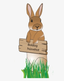Rabbit Easter Bunny Free Picture - قصة ارنوب, HD Png Download, Transparent PNG