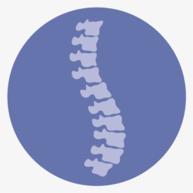 Spinal Cord Injury Icon, HD Png Download, Transparent PNG