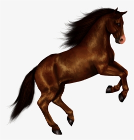 Transparent Horse Clipart - Transparent Background Horse Png, Png Download, Transparent PNG