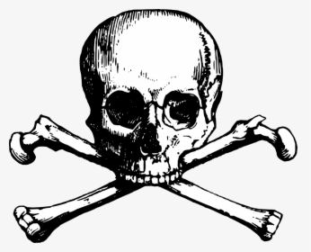 Free Skull Clipart - Skull N Bones Png, Transparent Png, Transparent PNG