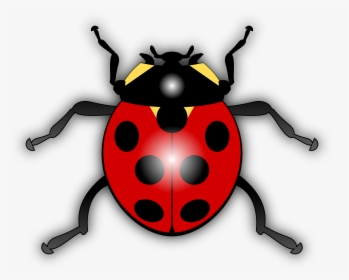 Ladybird Clipart, HD Png Download, Transparent PNG